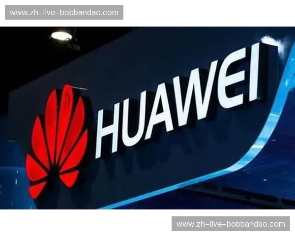 开云体育账号登录：畅享极致体育体验